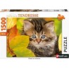 Nathan Puzzle 1500p - Chaton en automne