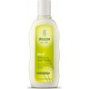 WELEDA Shampoing usage fréquent au millet brillance le tube de 190ml
