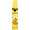 Ushuaïa Déodorant Efficacité 24h à la Fleur de Vanille de Polynésie 200ml (lot de 4)