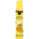 Ushuaïa Déodorant Efficacité 24h à la Fleur de Vanille de Polynésie 200ml