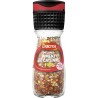 DUCROS MOULIN PIMENT CAYENNE 29g