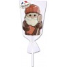 Rohan Sucettes en chocolat St Nicolas 35g
